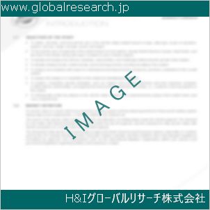 グローバルリサーチ調査資料のイメージ
